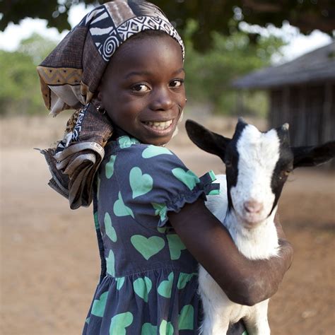 buy a goat charity gift|goats for christmas charity.